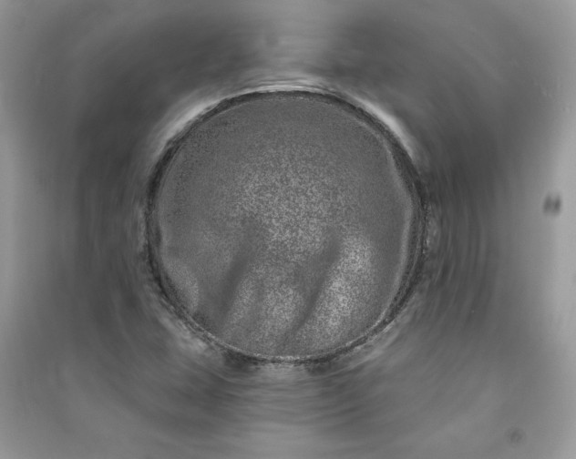 X0000090871407200708101324