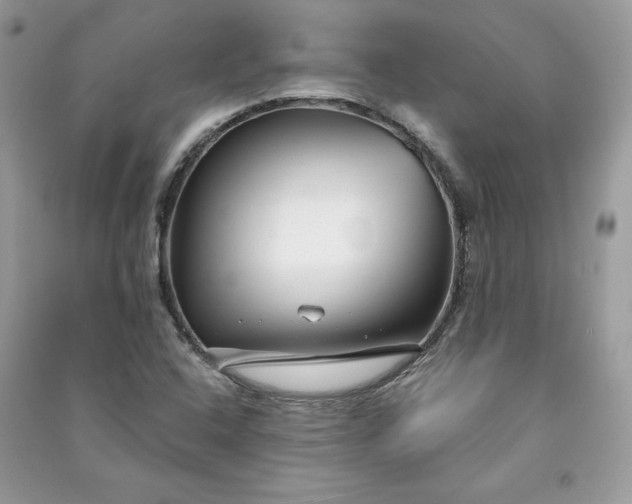 X0000090871408200708101324