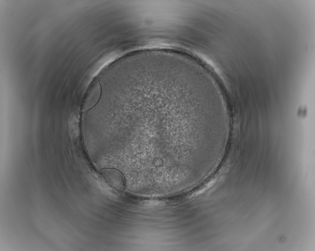 X0000090871409200708101324