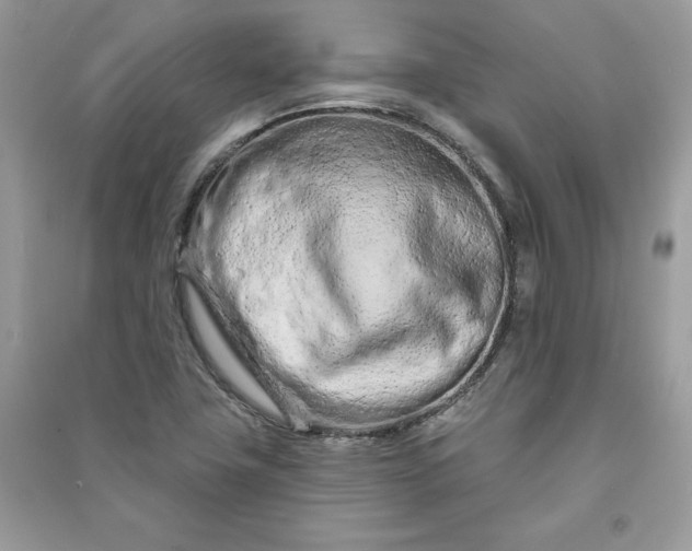 X0000090871411200708101324