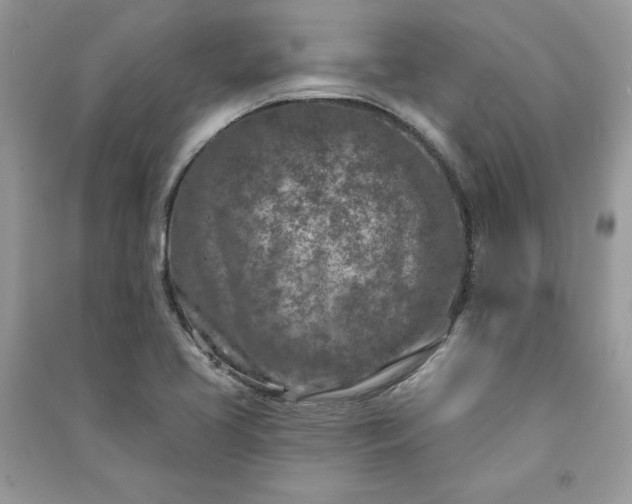 X0000090871413200708101324