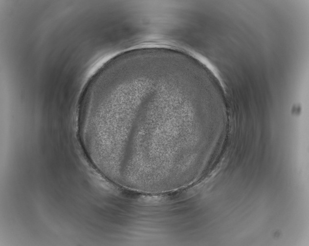 X0000090871415200708101324