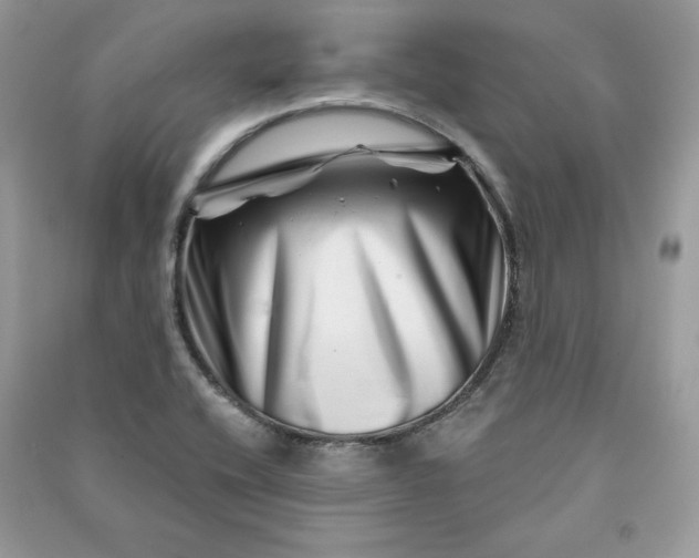 X0000090871416200708101324