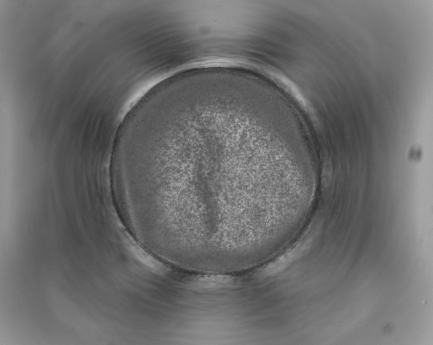 X0000090871417200708101324