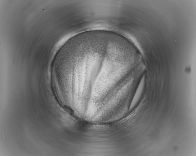 X0000090871419200708101324