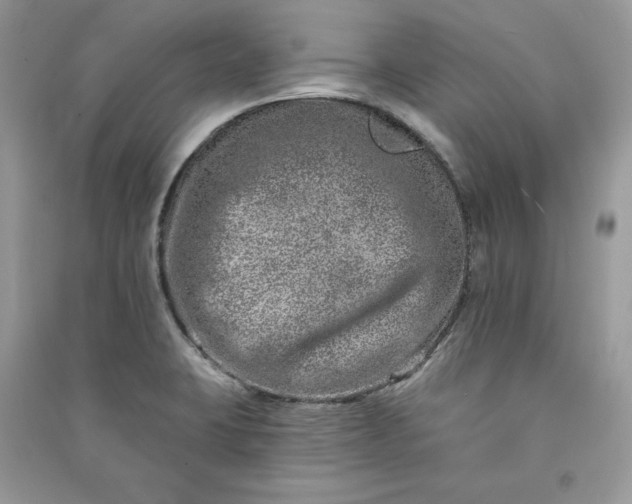 X0000090871423200708101324