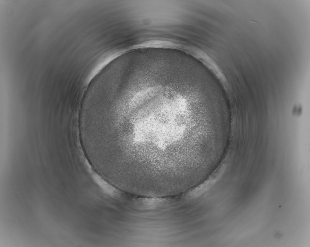 X0000090871425200708101324