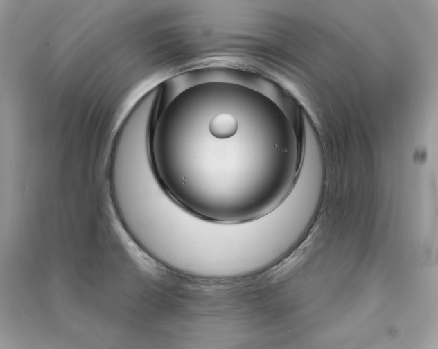 X0000090871426200708101324