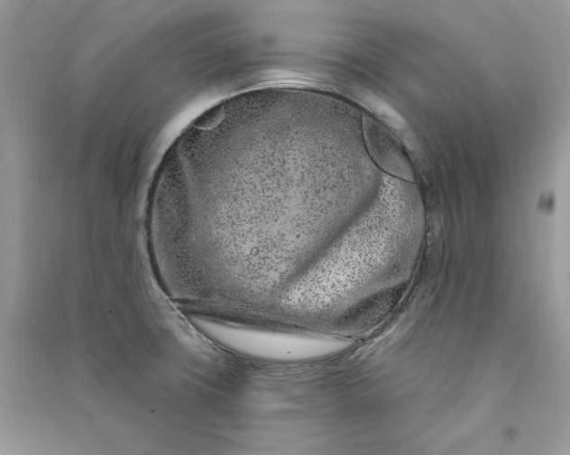 X0000090871427200708101324