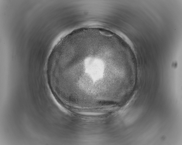 X0000090871429200708101324