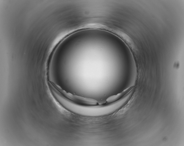 X0000090871430200708101324