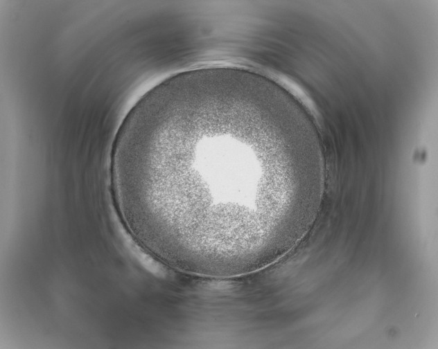 X0000090871431200708101324