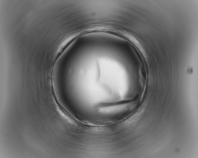 X0000090871433200708101324