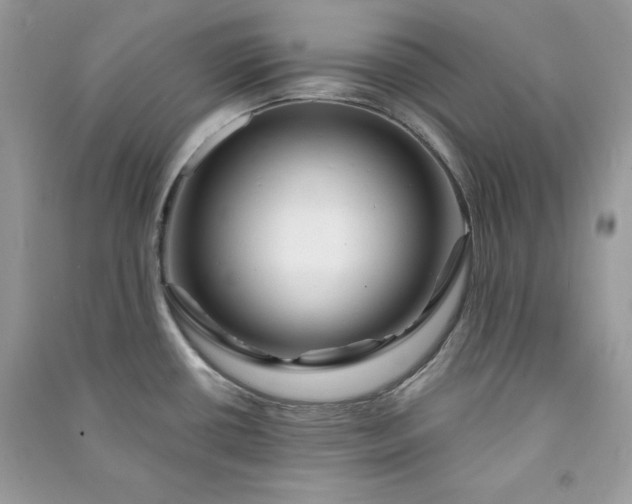 X0000090871434200708101324