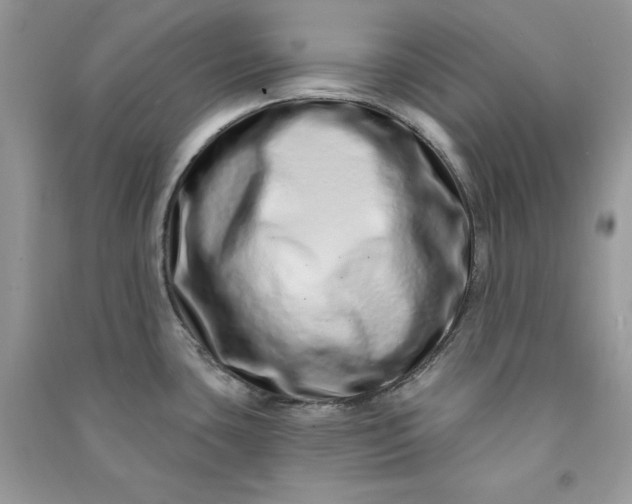 X0000090871435200708101324