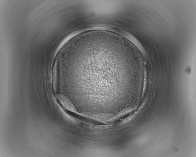 X0000090871436200708101324