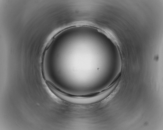 X0000090871438200708101324