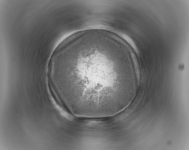 X0000090871439200708101324