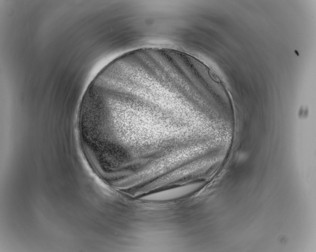 X0000090871440200708101324