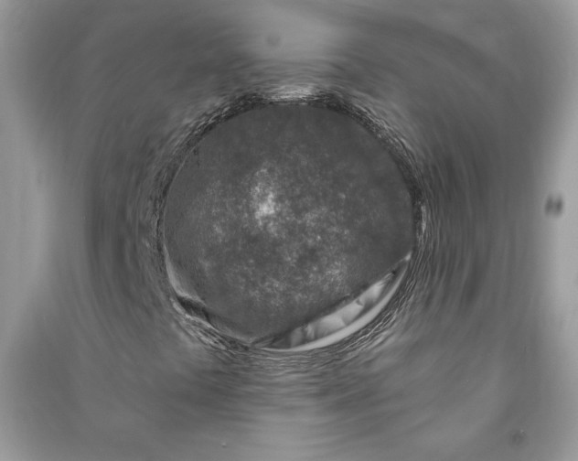 X0000090871441200708101324