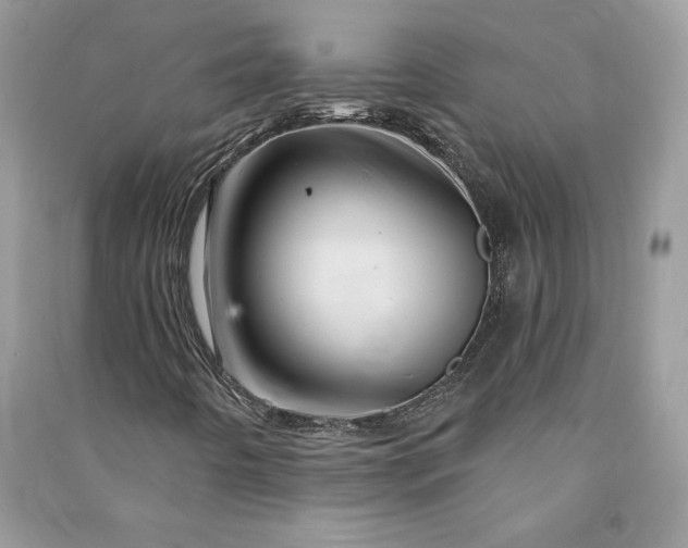 X0000090871442200708101324