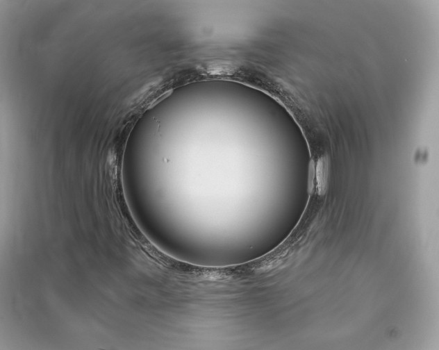 X0000090871443200708101324