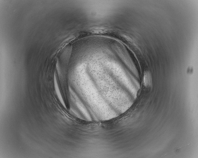 X0000090871444200708101324