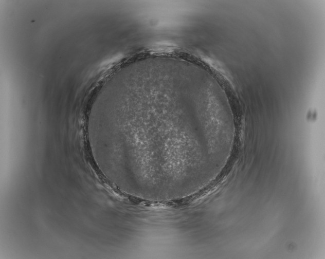 X0000090871445200708101324