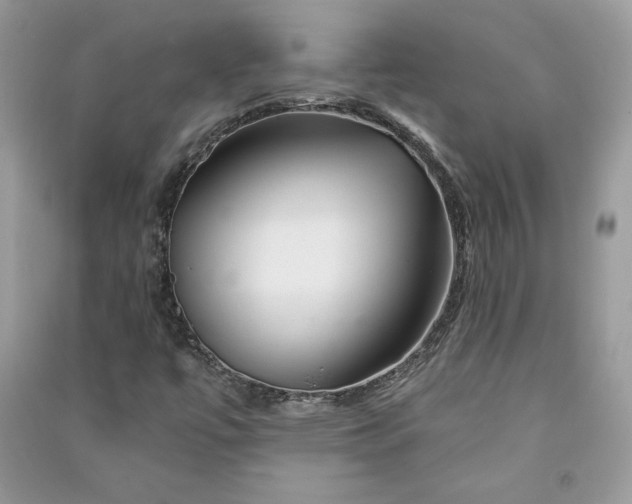 X0000090871447200708101324