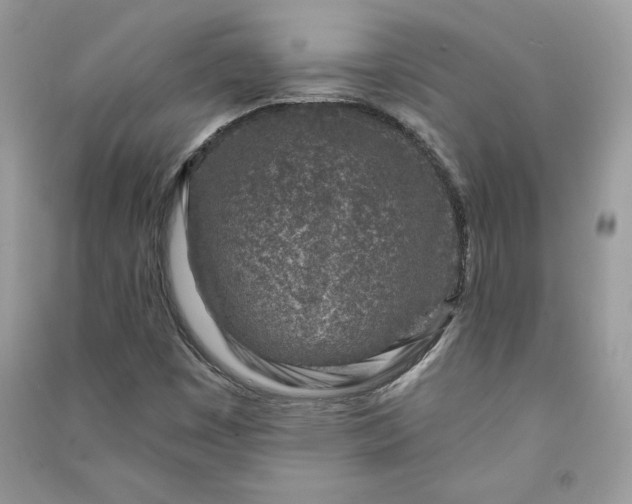 X0000090871449200708101323