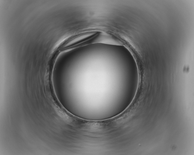 X0000090871450200708101323