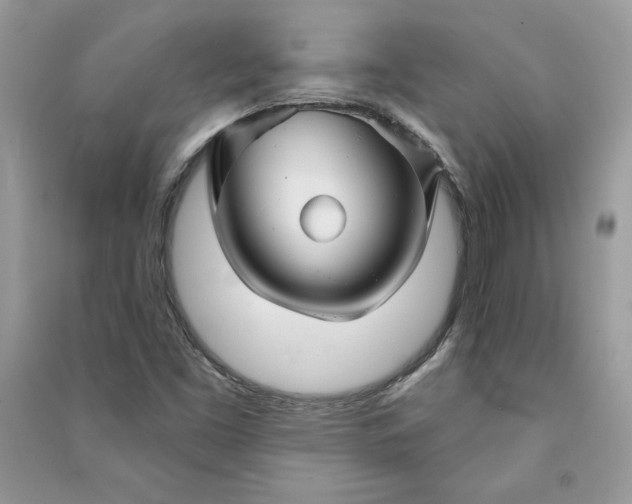 X0000090871453200708101323