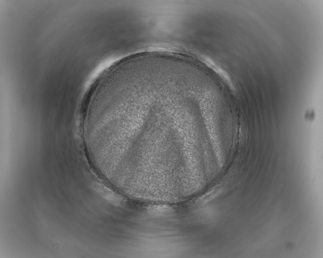 X0000090871454200708101323