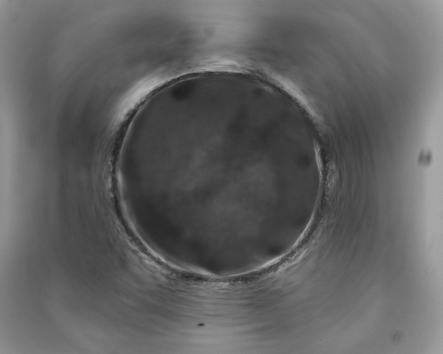 X0000090871455200708101323