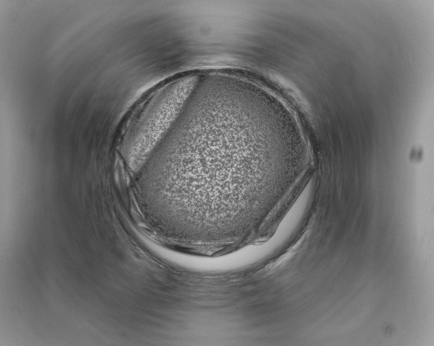 X0000090871457200708101323