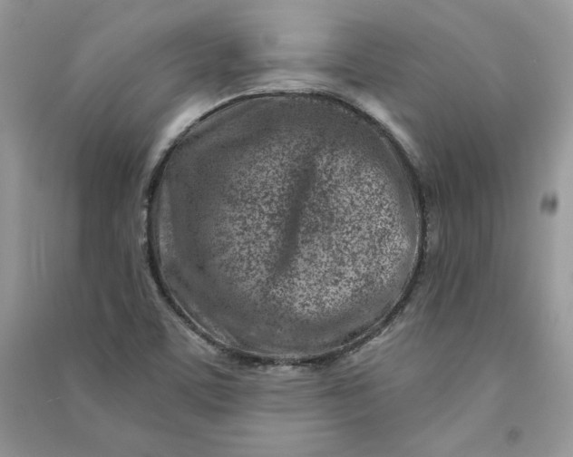 X0000090871459200708101323