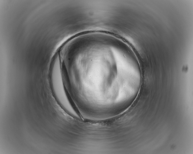 X0000090871460200708101323