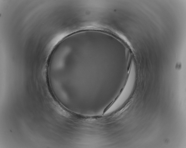 X0000090871463200708101323