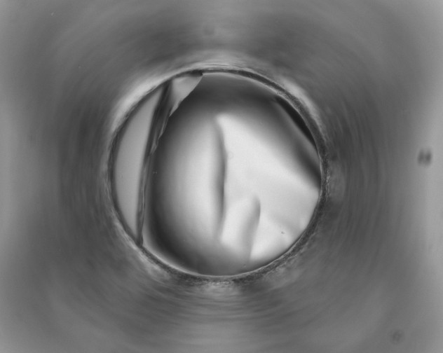 X0000090871464200708101323