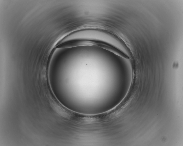 X0000090871465200708101323