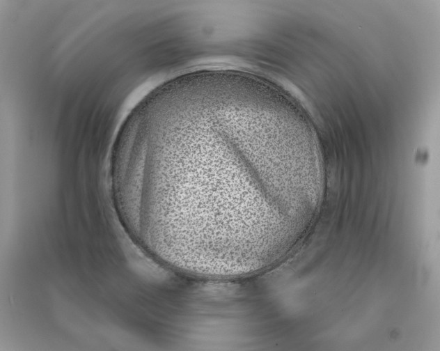 X0000090871466200708101323