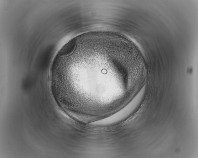 X0000090871467200708101323