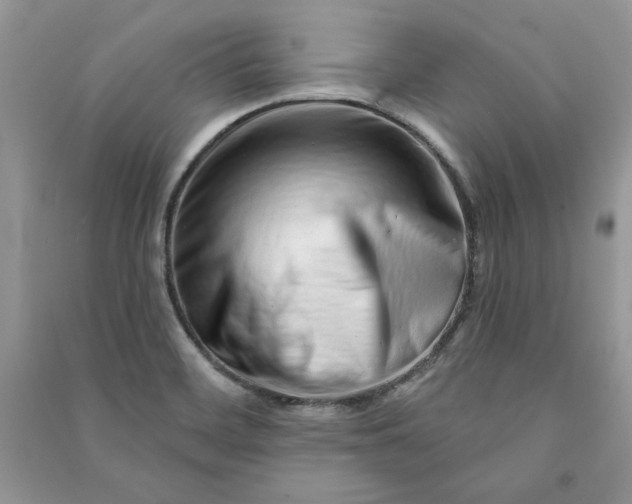 X0000090871468200708101323