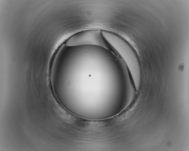 X0000090871469200708101323