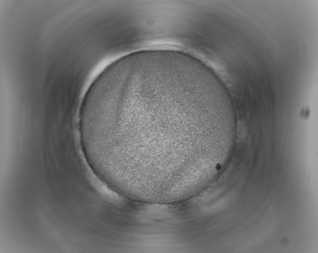 X0000090871470200708101323