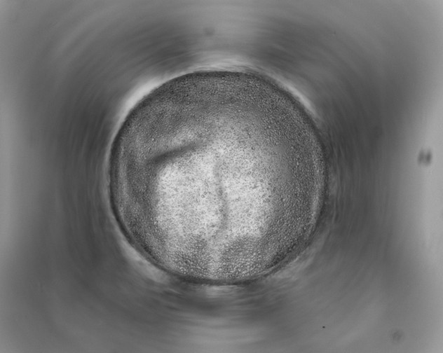 X0000090871471200708101323