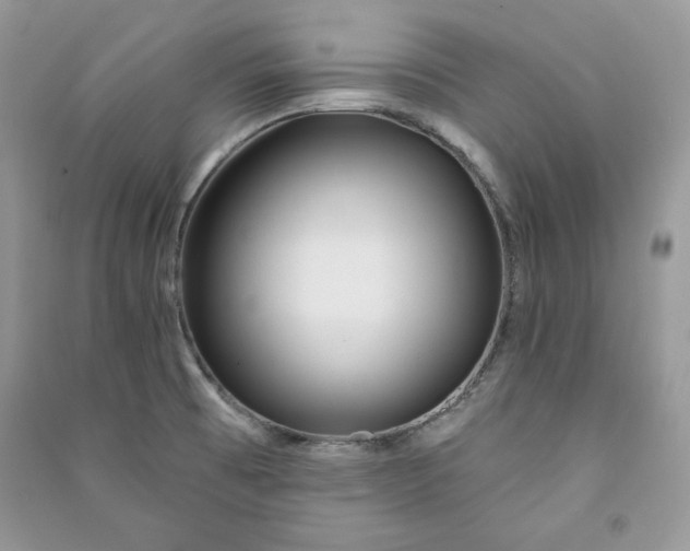 X0000090871473200708101323