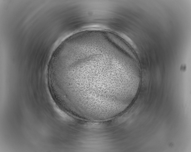 X0000090871474200708101323