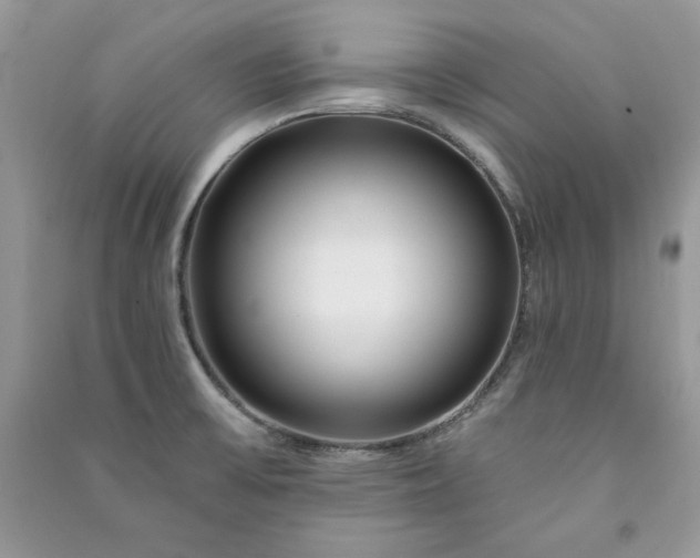 X0000090871475200708101323