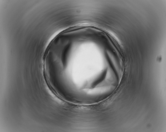 X0000090871476200708101323